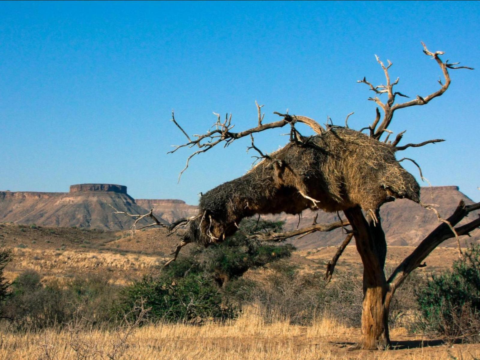 Mount Canyon Guest Farm Keetmanshoop Exterior photo