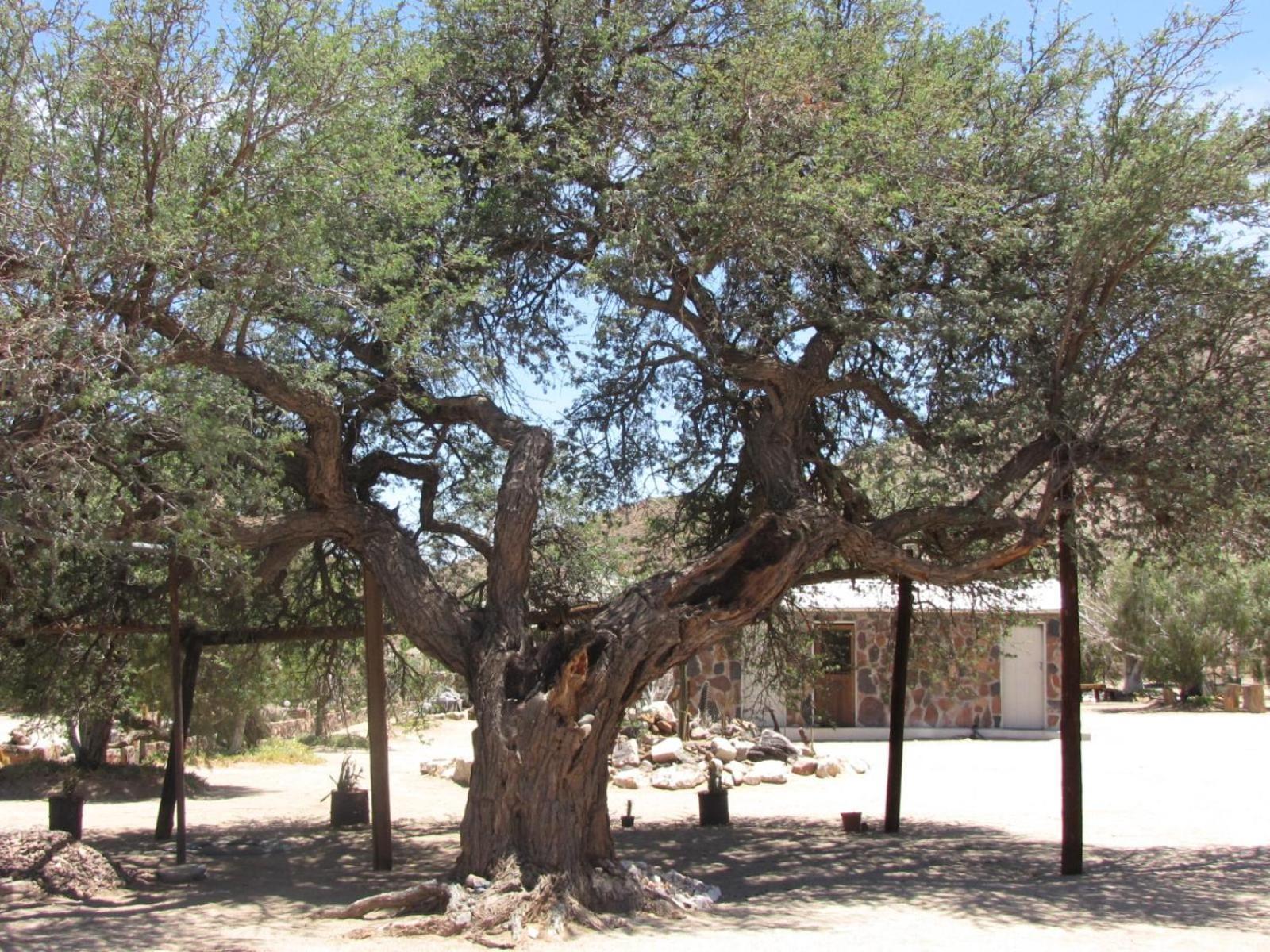 Mount Canyon Guest Farm Keetmanshoop Exterior photo
